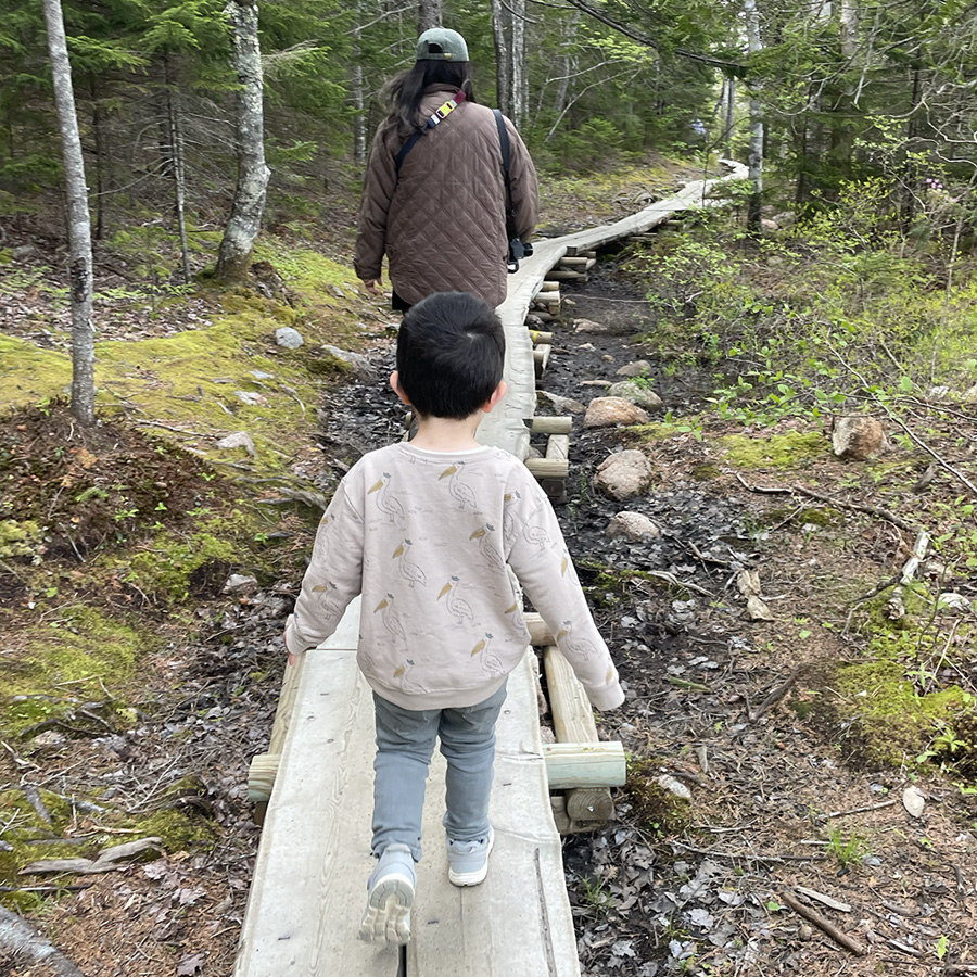 family hiking acadia