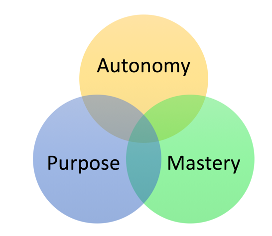 Autonomy, Mastery, Purpose