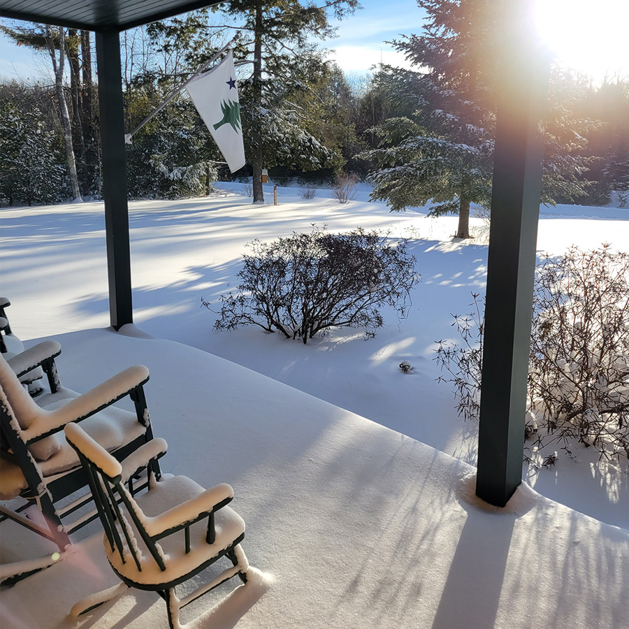 photo of snowy yard